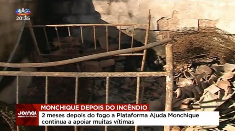 Lesados pelo fogo de Monchique desesperam com burocracia excessiva nos apoios – Reportagem SIC