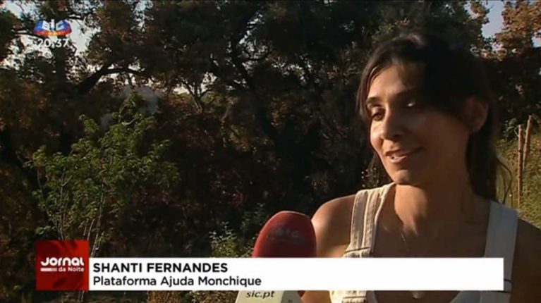 Lesados pelo fogo de Monchique desesperam com burocracia excessiva nos apoios – Reportagem SIC