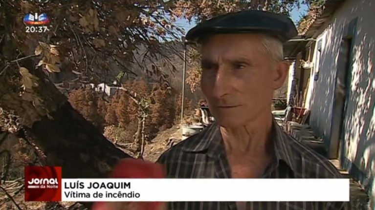 Lesados pelo fogo de Monchique desesperam com burocracia excessiva nos apoios – Reportagem SIC